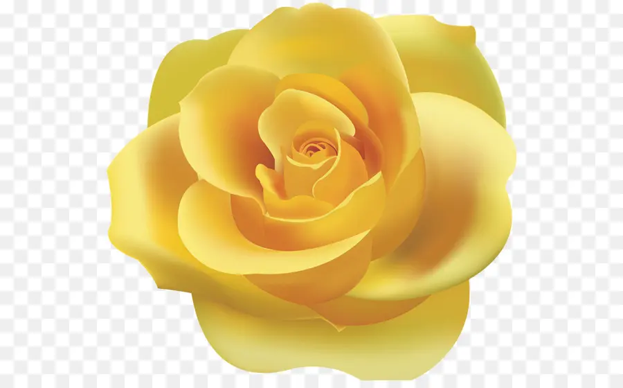 Rosa，Amarillo PNG