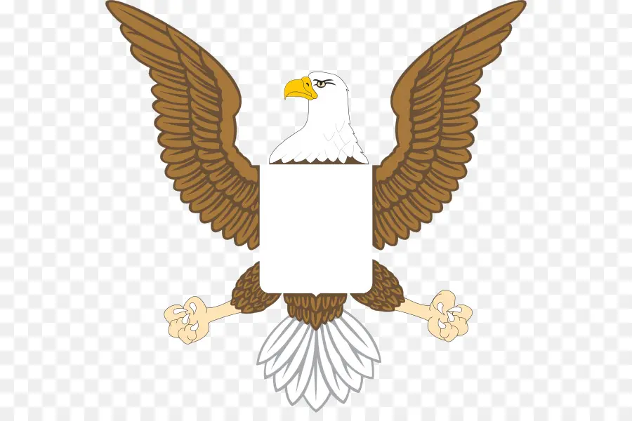 águila Calva，Estados Unidos PNG