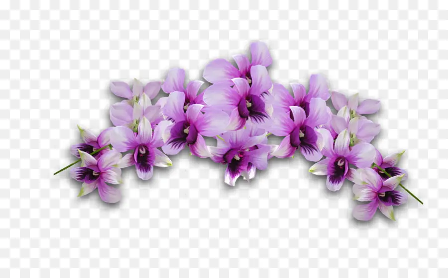 Flores Moradas，Floral PNG