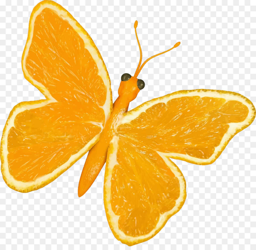 Mariposa，Naranja PNG