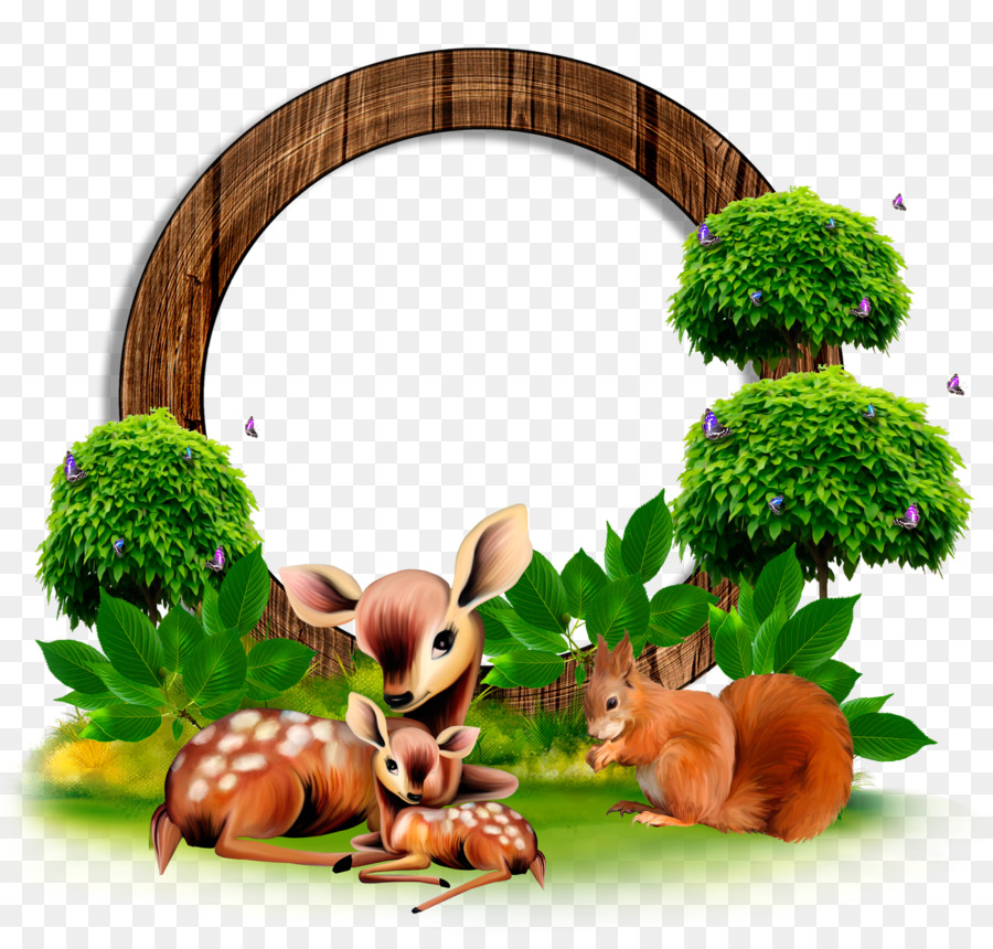 Ciervo Y Ardilla，Bosque PNG