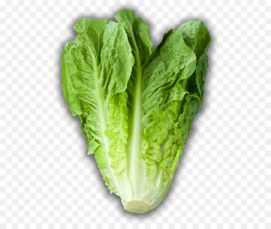 La Hoja De Lechuga，La Lechuga Iceberg PNG