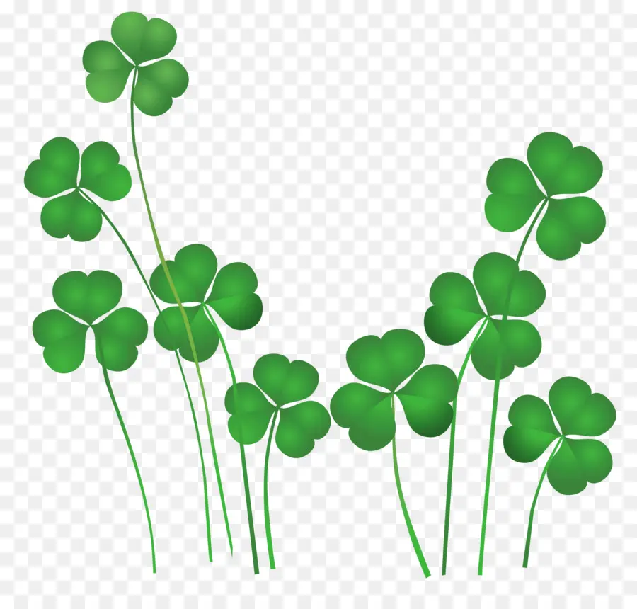 Irlanda，El Día De San Patricio PNG