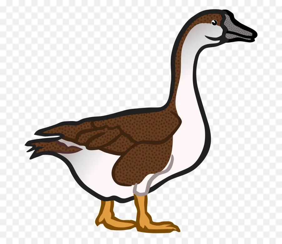 Ganso，Pato PNG