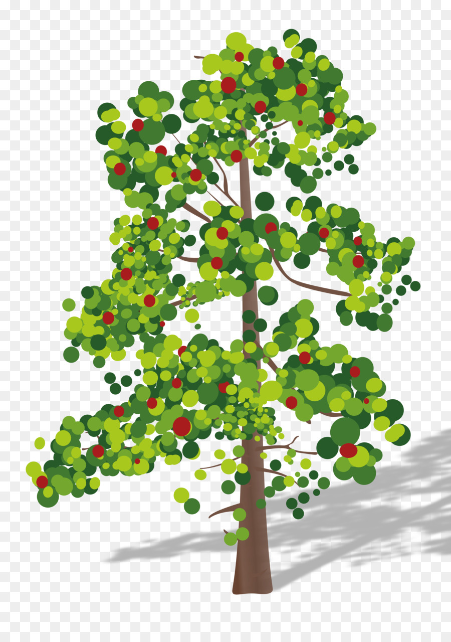 Árbol，Hojas PNG