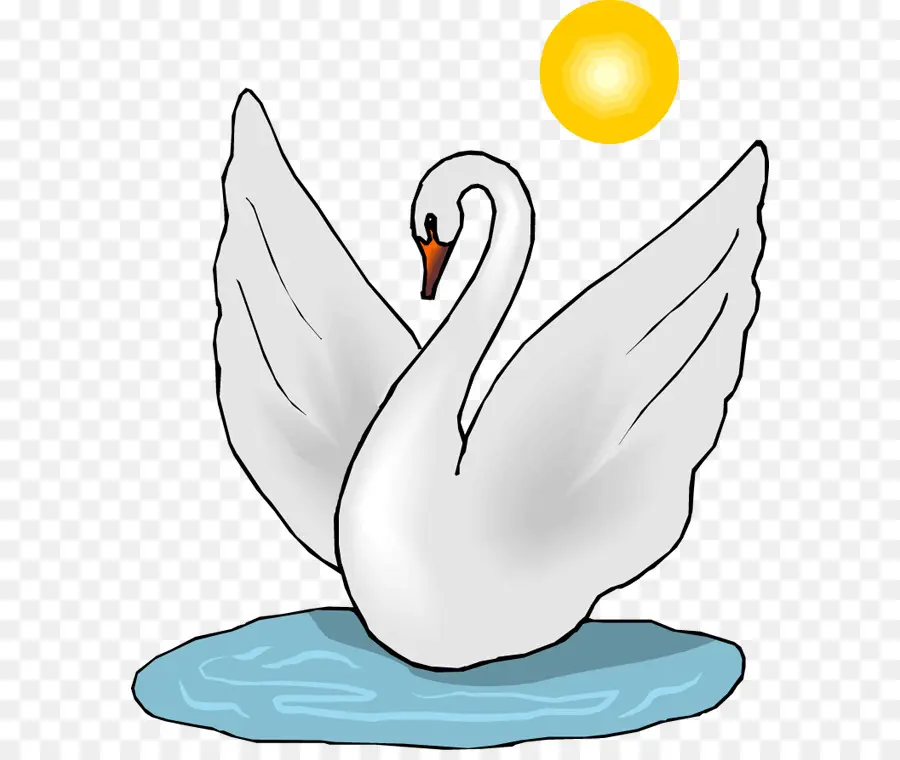 Cisne Negro，Whooper Cisne PNG