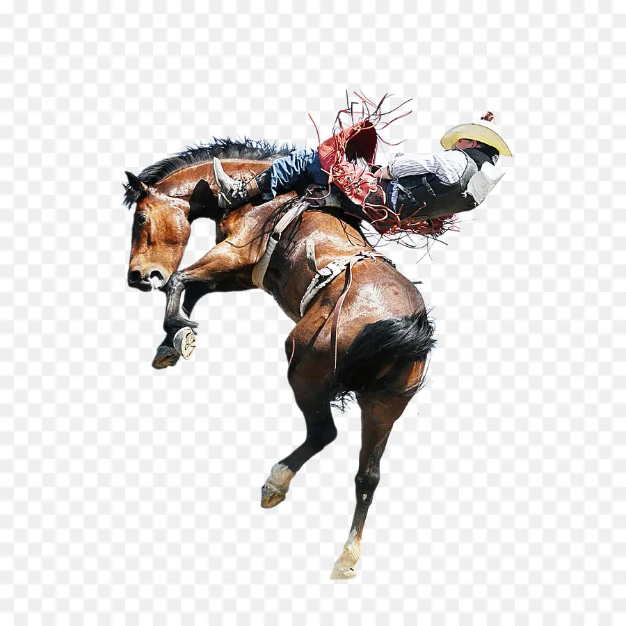 Jinete De Rodeo，Caballo PNG