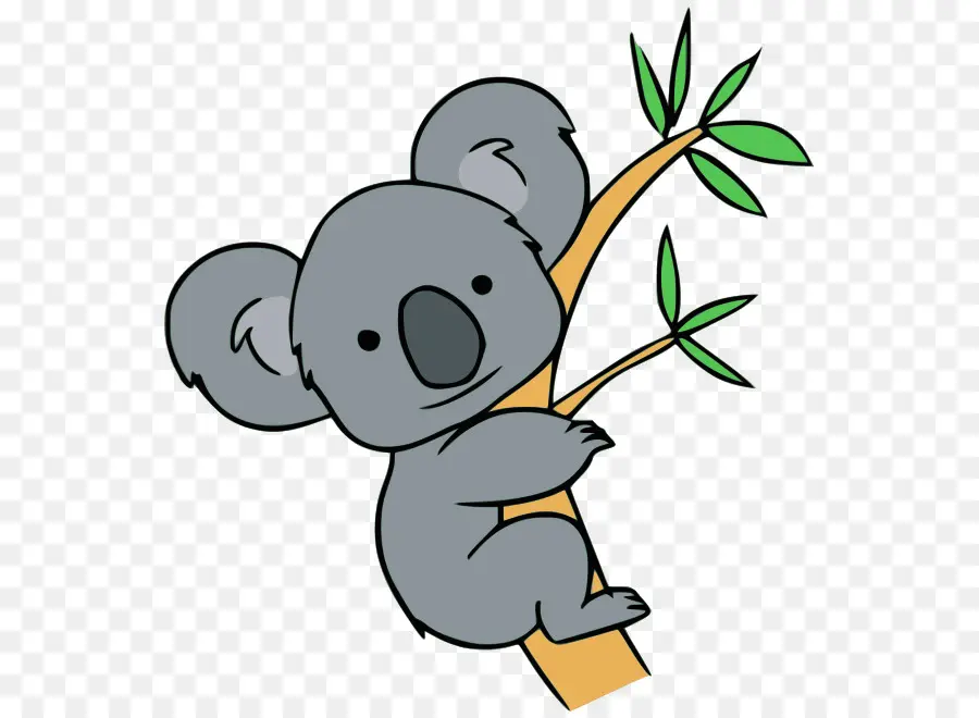 Koala，Oso PNG