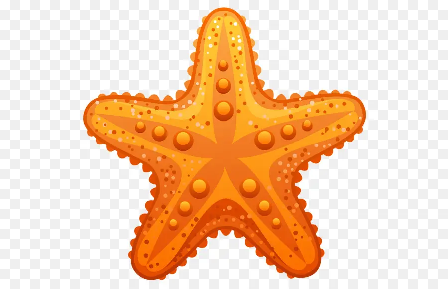 Estrella De Mar，Royaltyfree PNG