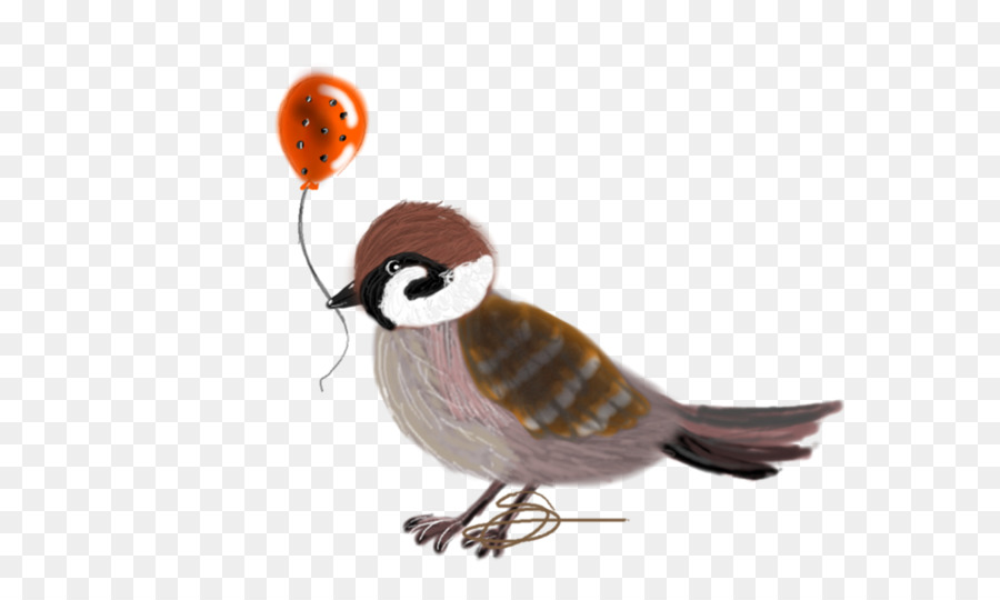 Pájaro，Pico PNG