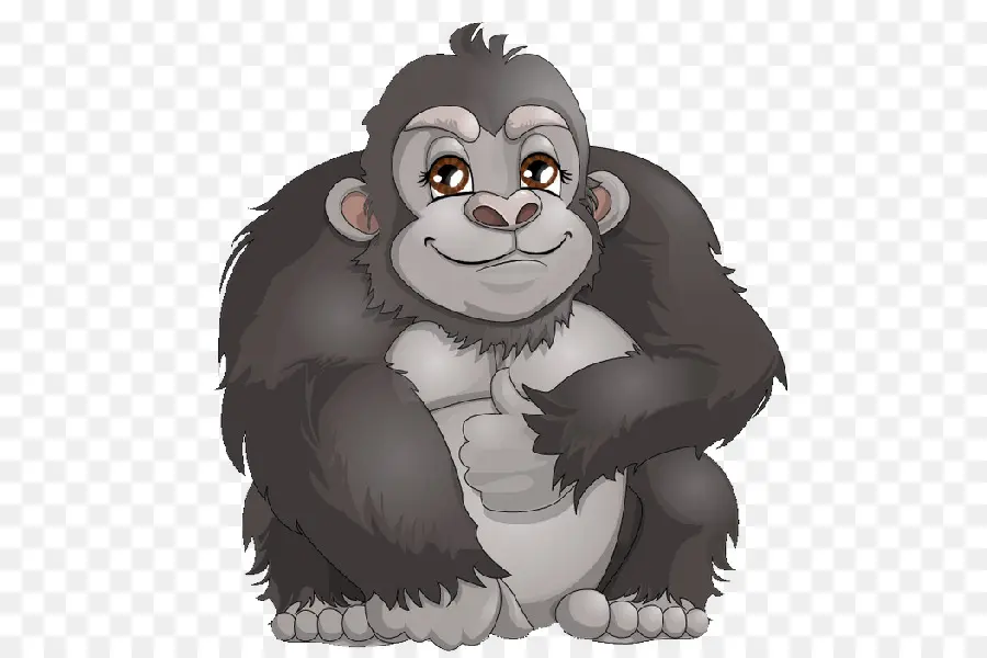 Occidental Gorila，Ape PNG