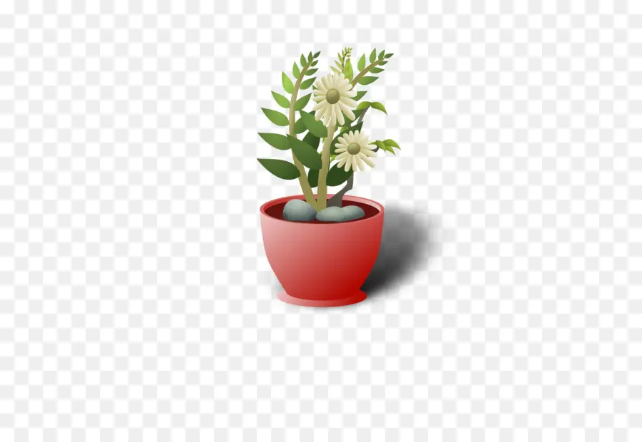 Planta En Maceta，Flor PNG