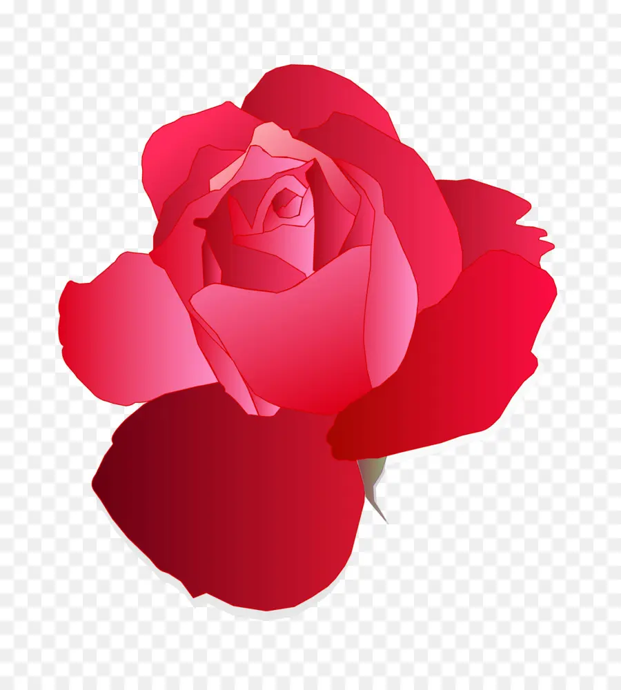 Rosa Azul，Rosa PNG