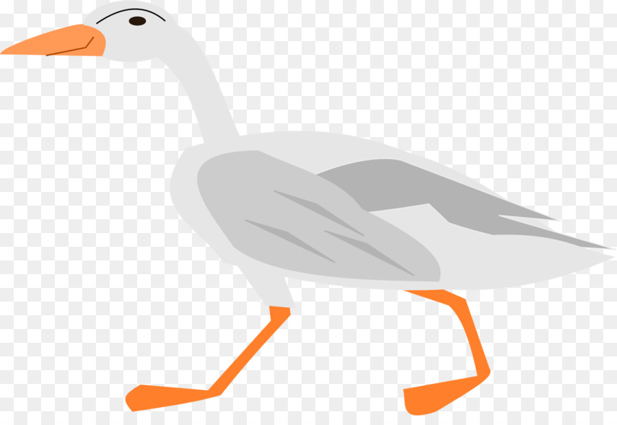 Pato，Ganso PNG