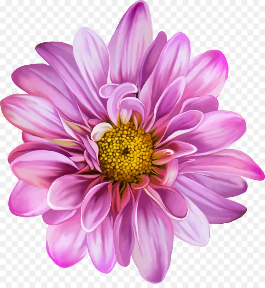 Flor，Florecer PNG