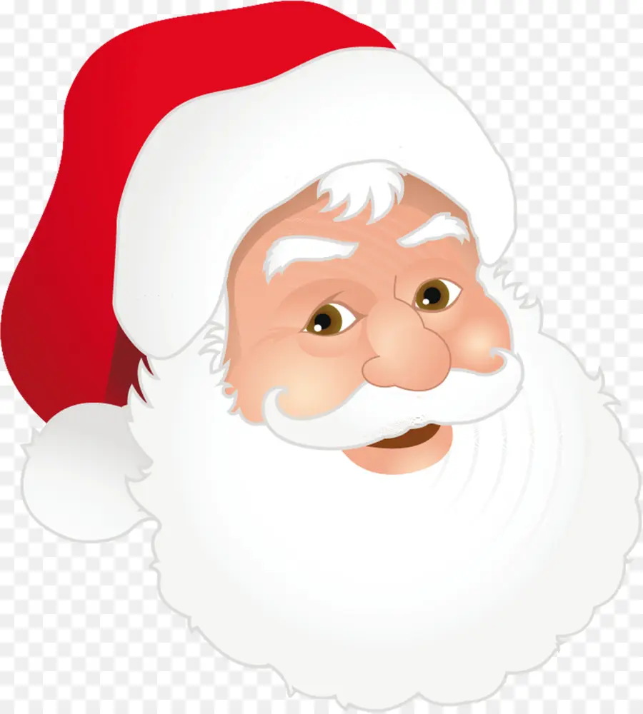 Cara De Papá Noel，Navidad PNG