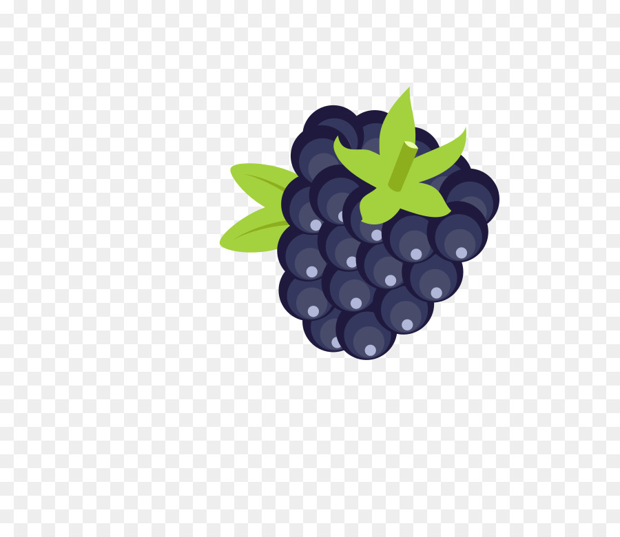 Blackberry Pastel，Blackberry PNG