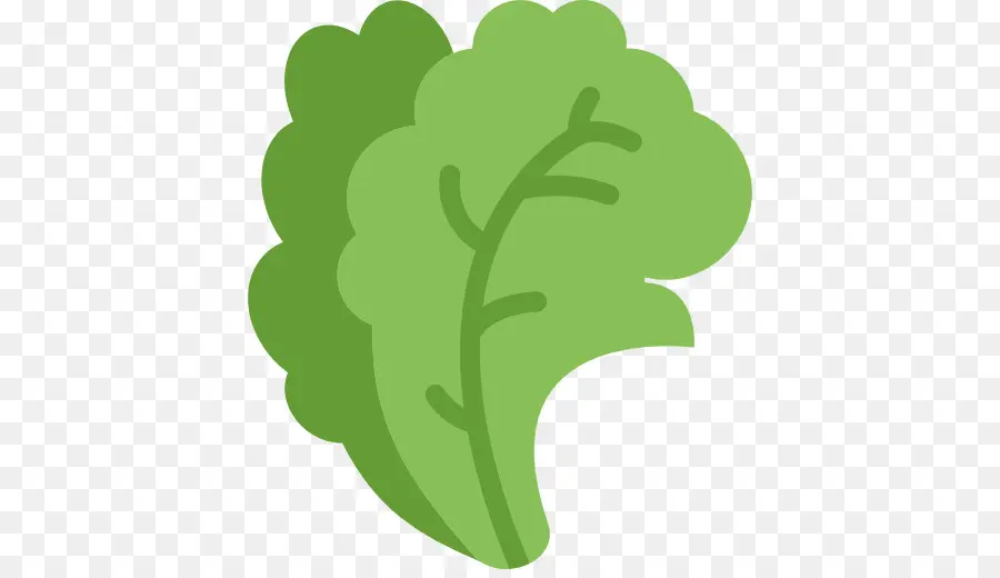 Lechuga，Verde PNG