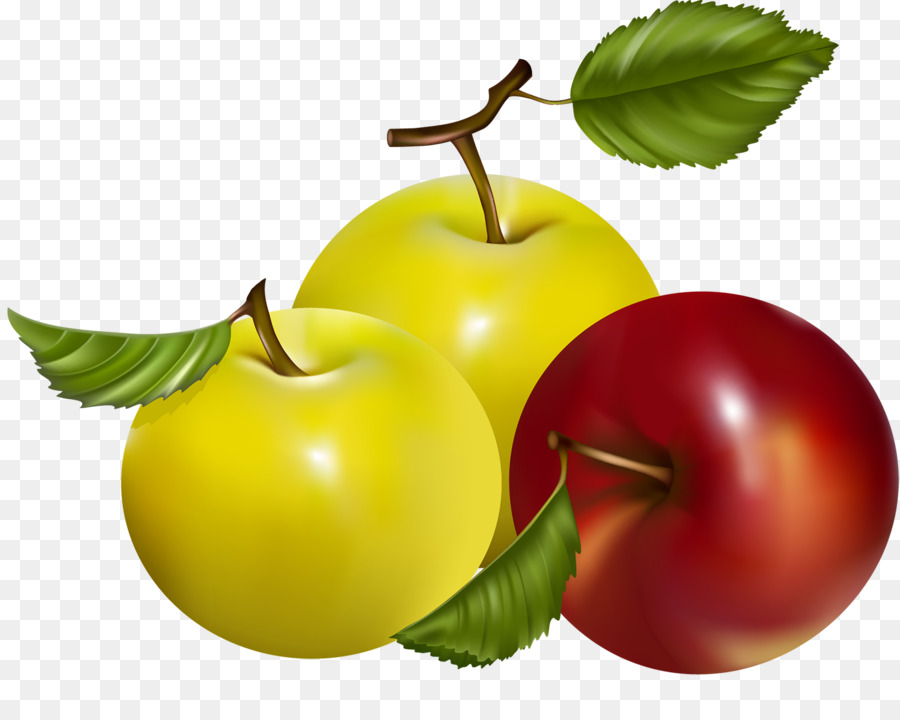 Pera Asiática，Fruta PNG