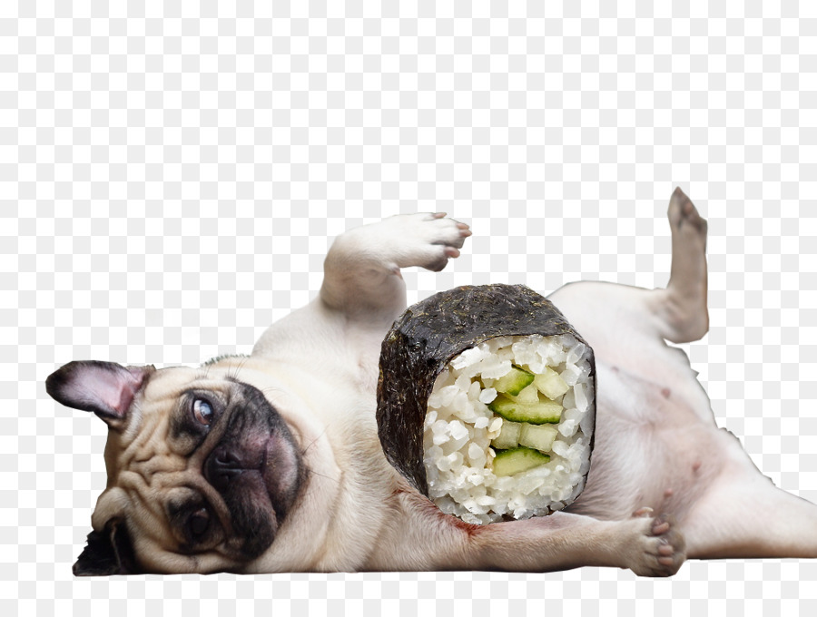 Pug，Cachorro PNG