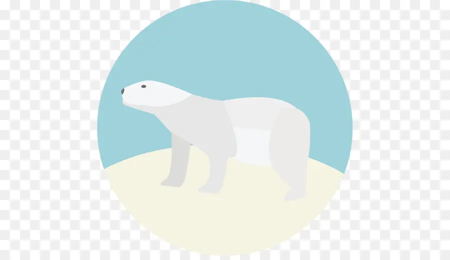 Oso Polar，Oso PNG