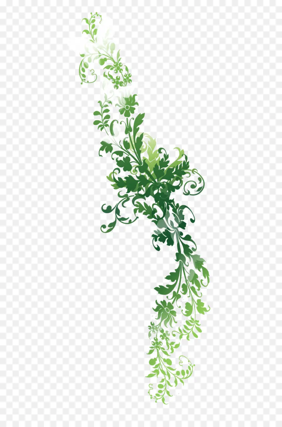 Diseño Floral Verde，Hojas PNG