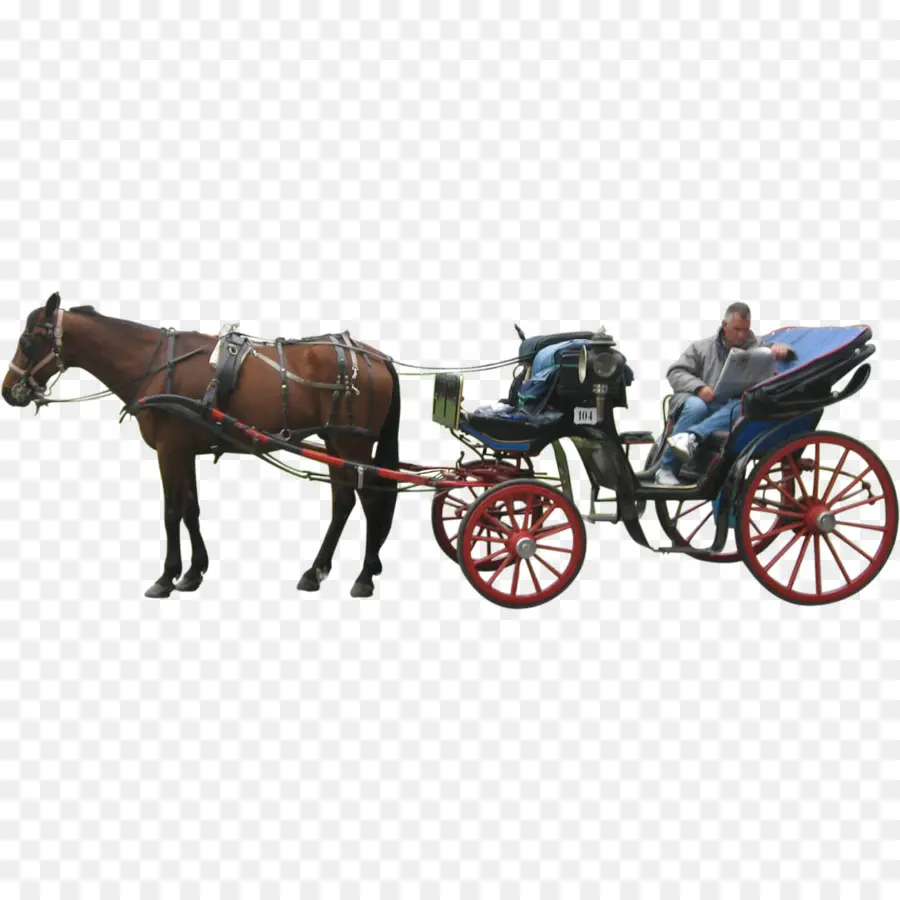 Caballo，Coche PNG