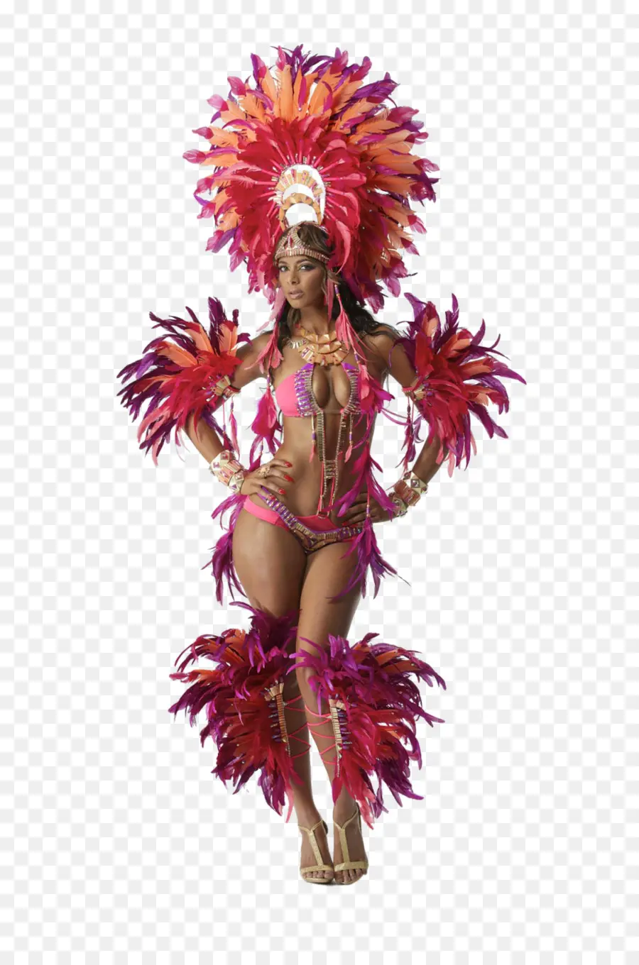 Disfraz De Carnaval，Plumas PNG