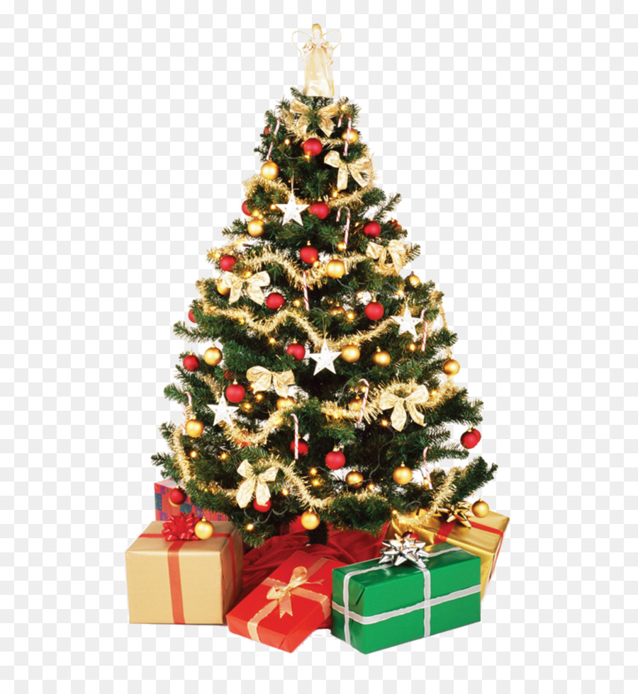Invitación De La Boda，árbol De Navidad PNG