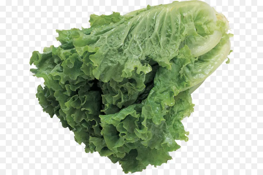 Lechuga，Verde PNG