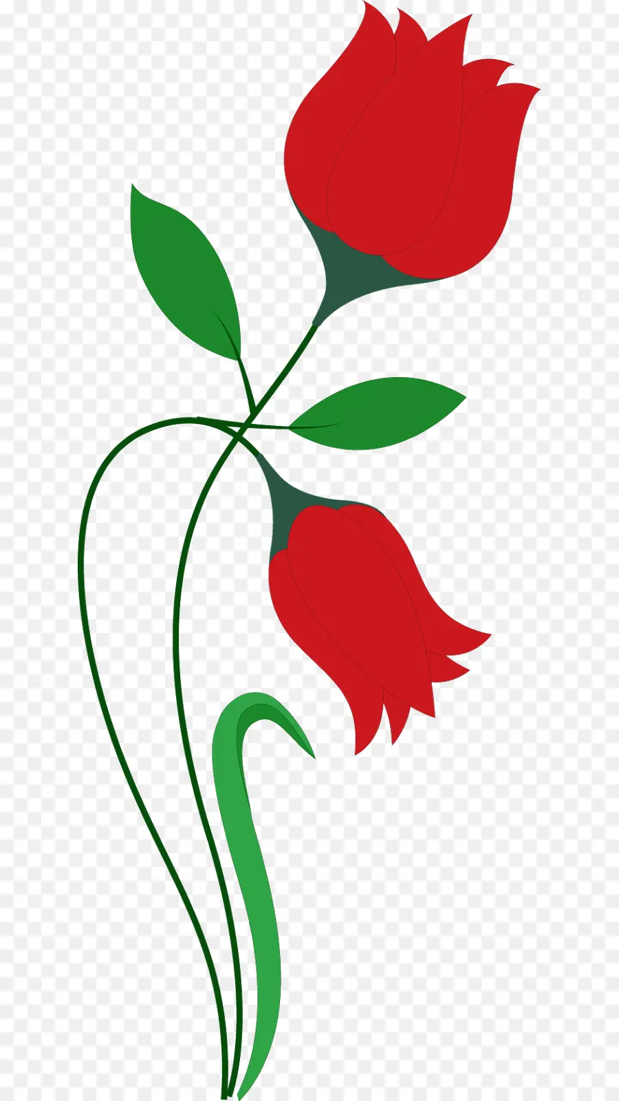 Flor，Tulip PNG