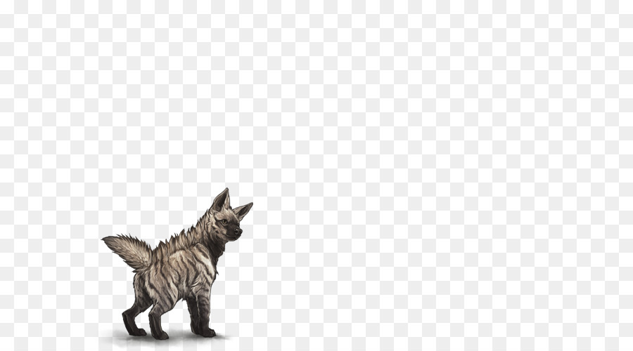 Maltés Perro，Felidae PNG