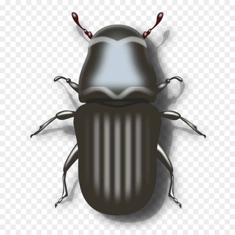 Escarabajo Oscuro，Iconos De Equipo PNG