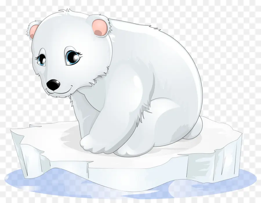 Oso Polar，Oso PNG