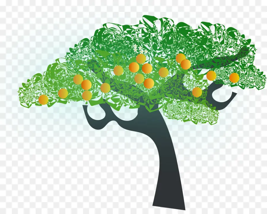 Árbol De Frutas，árbol PNG