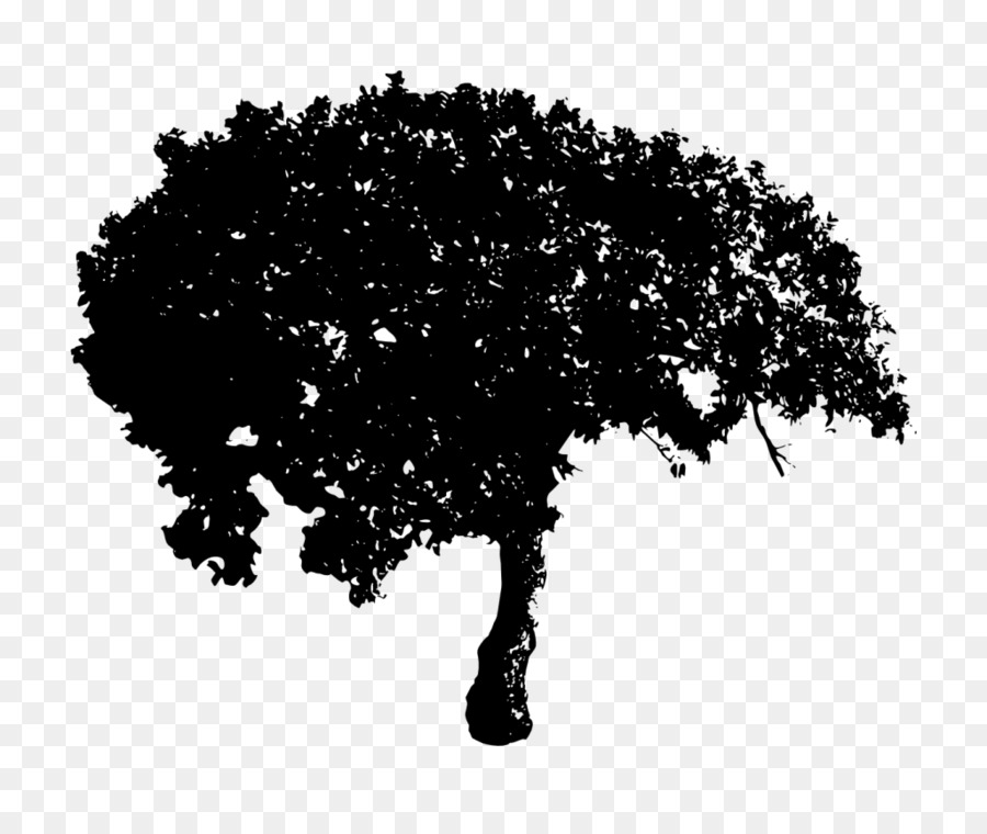 Árbol，Silueta PNG