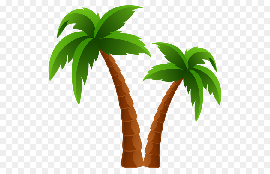 Arecaceae，árbol PNG