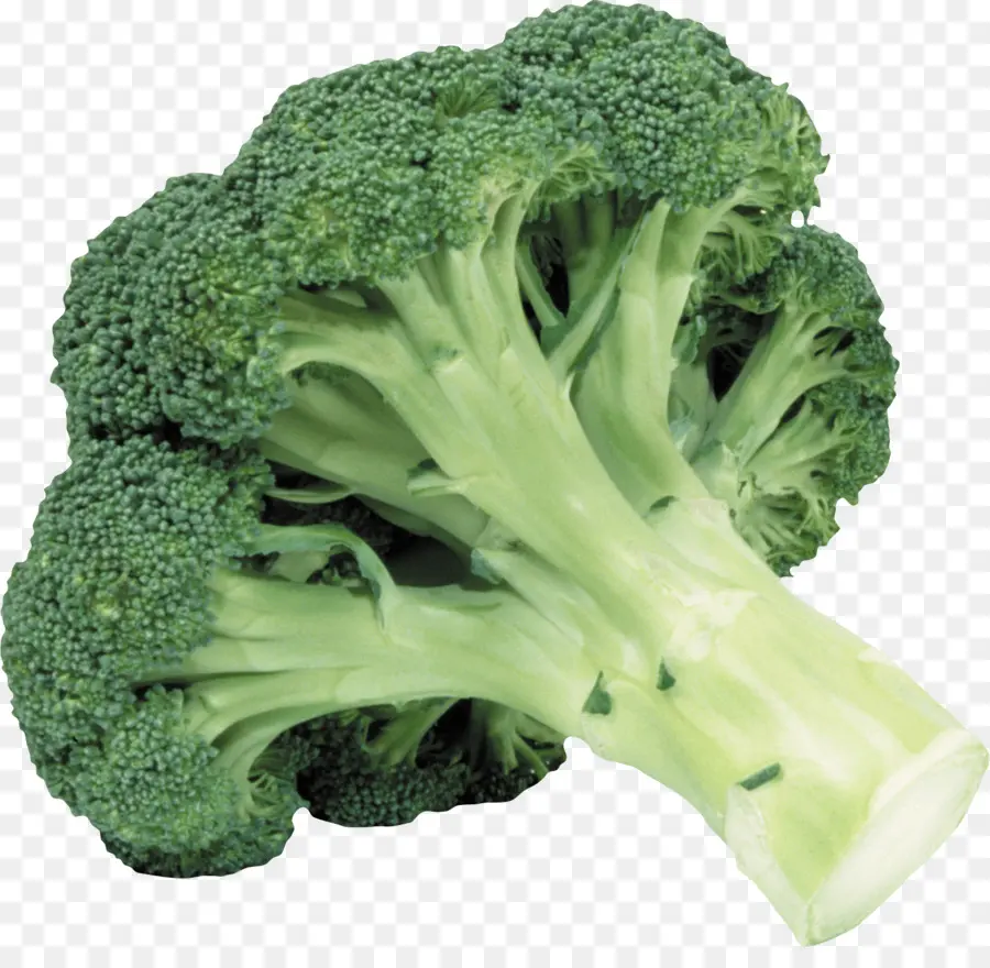 Brócoli，Verde PNG