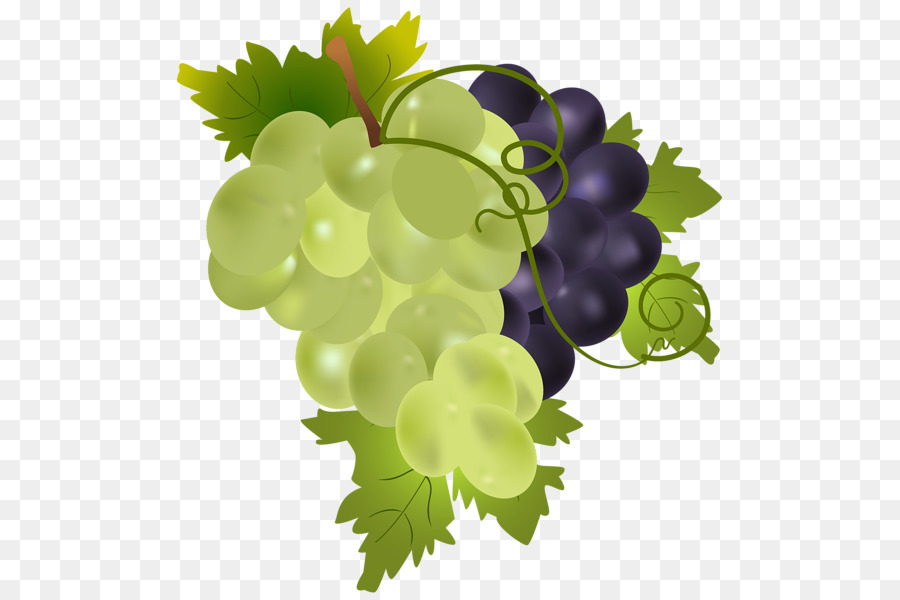 Vino，Uva PNG