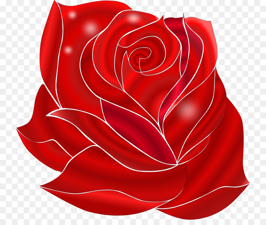 Rosa Roja，Rosa PNG