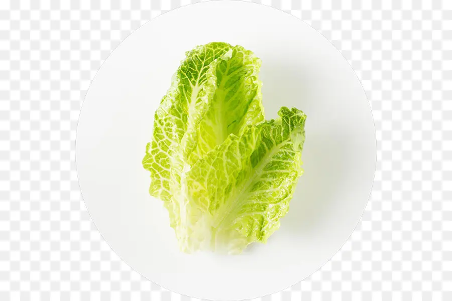 Lechuga，Verde PNG