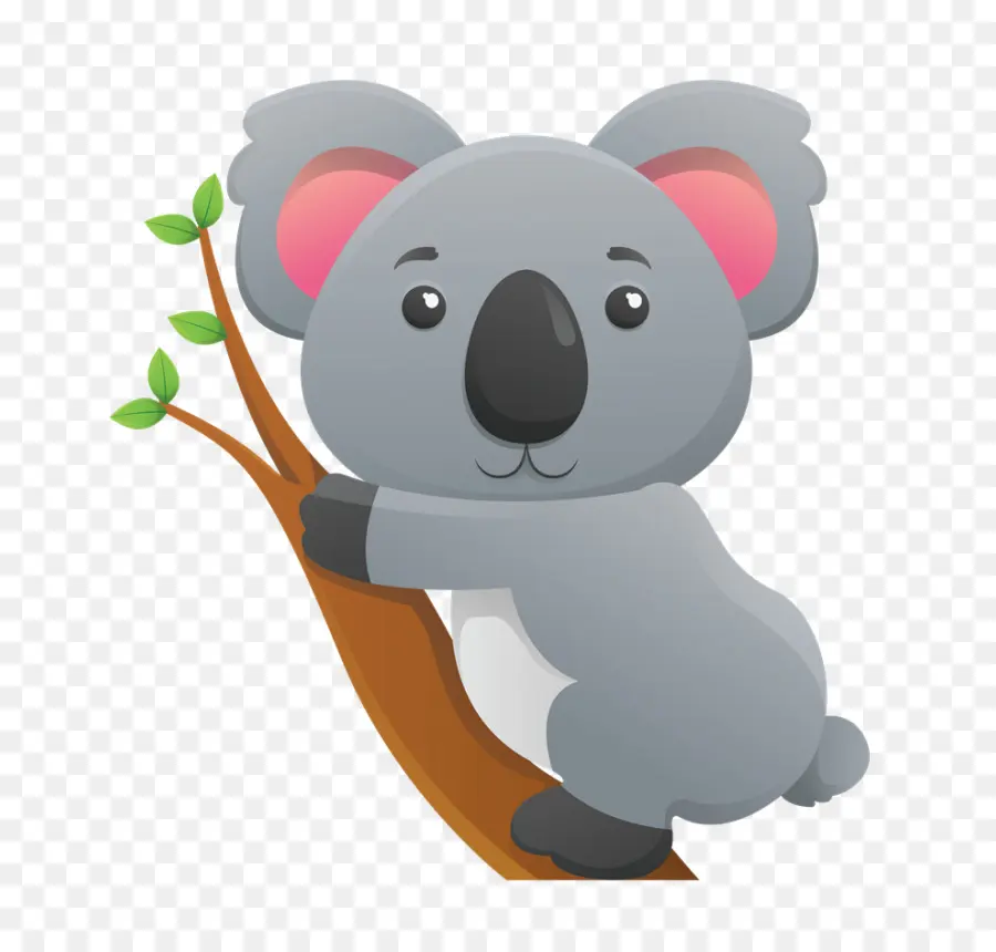 Koala，Oso PNG