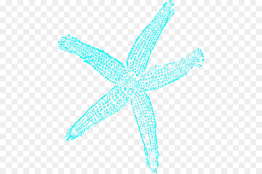 Estrella De Mar，Dibujo PNG