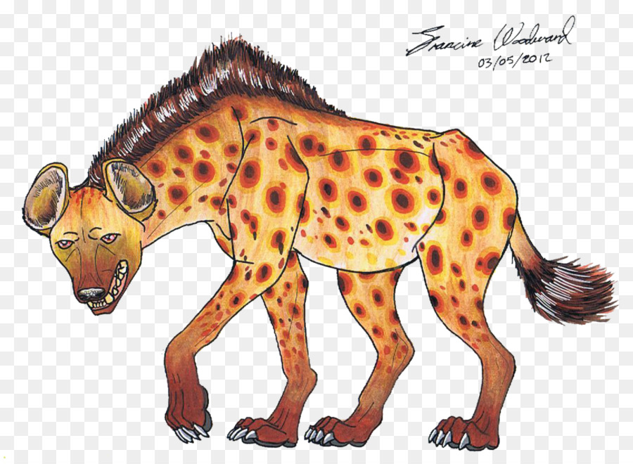 Cheetah，Hiena PNG