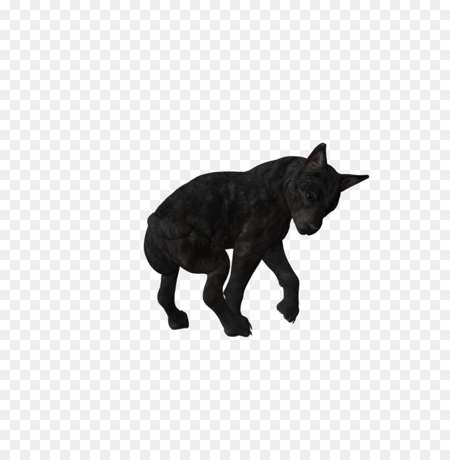 Perro，Cachorro PNG