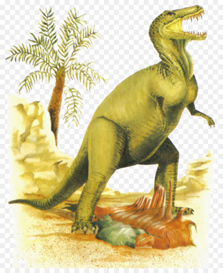 Tyrannosaurus，Dinosaurio Identificador PNG