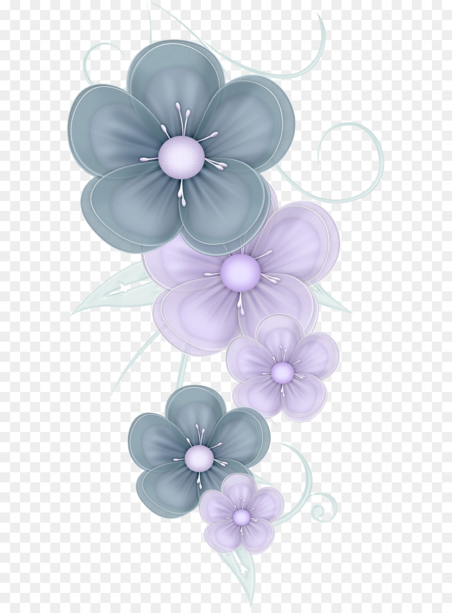 Ornamento，Dibujo PNG