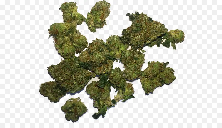 Cogollos De Cannabis，Verde PNG