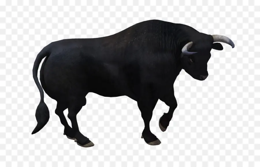 Toro，El Ganado PNG