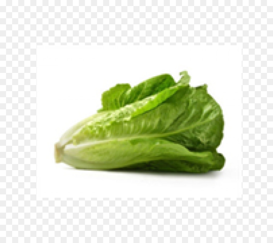 Lechuga，Frondoso PNG